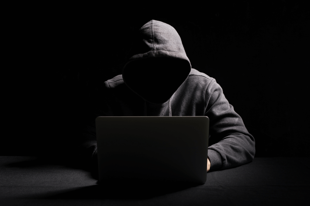 What is Online Transaction Fraud?
