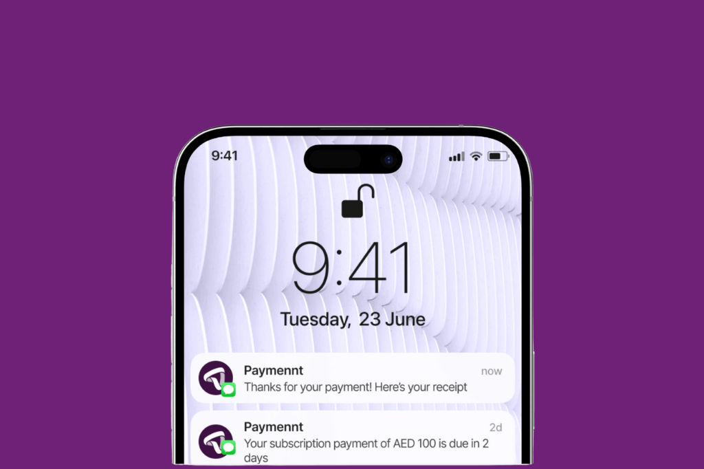 Powering Local Payments in the UAE with Paymennt